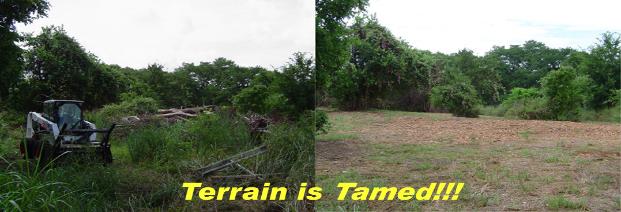 Cedar and Brush Mulched